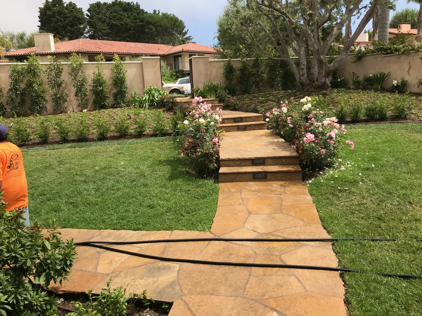 Flagstone path winding through a lawn past rose bushes